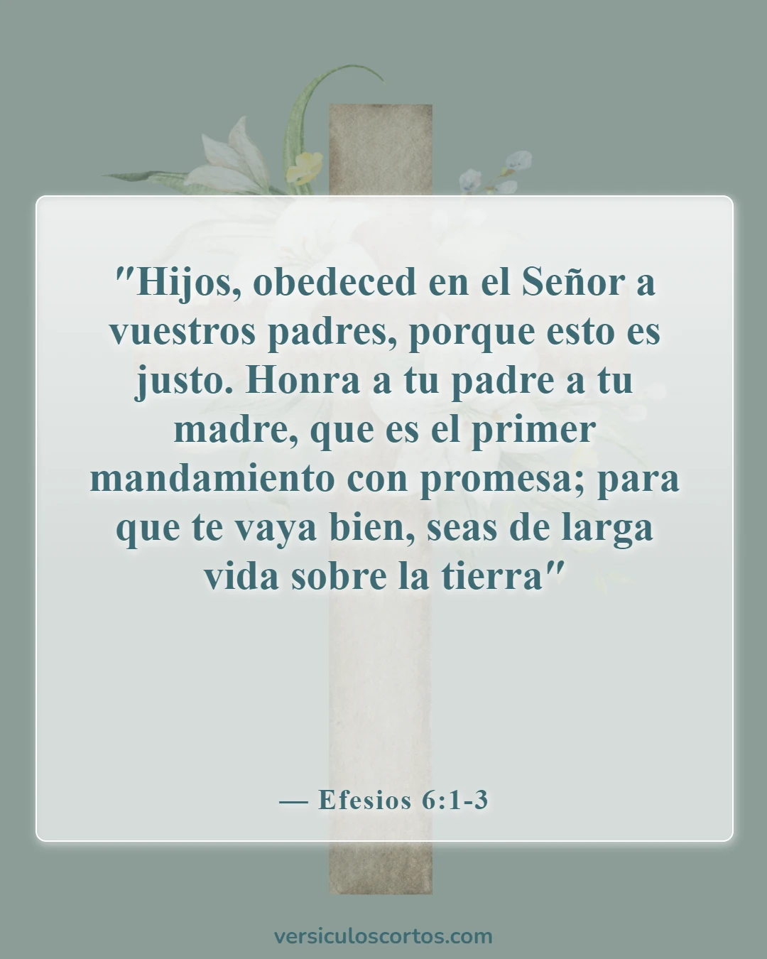 Versículos de la Biblia sobre el cuidado de los niños (Efesios 6:1-3)