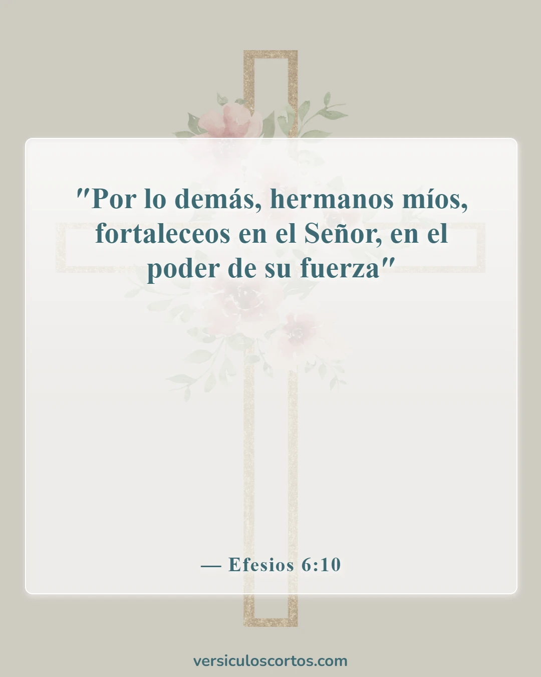 Versículos de la Biblia sobre salir con un no creyente (Efesios 6:10)