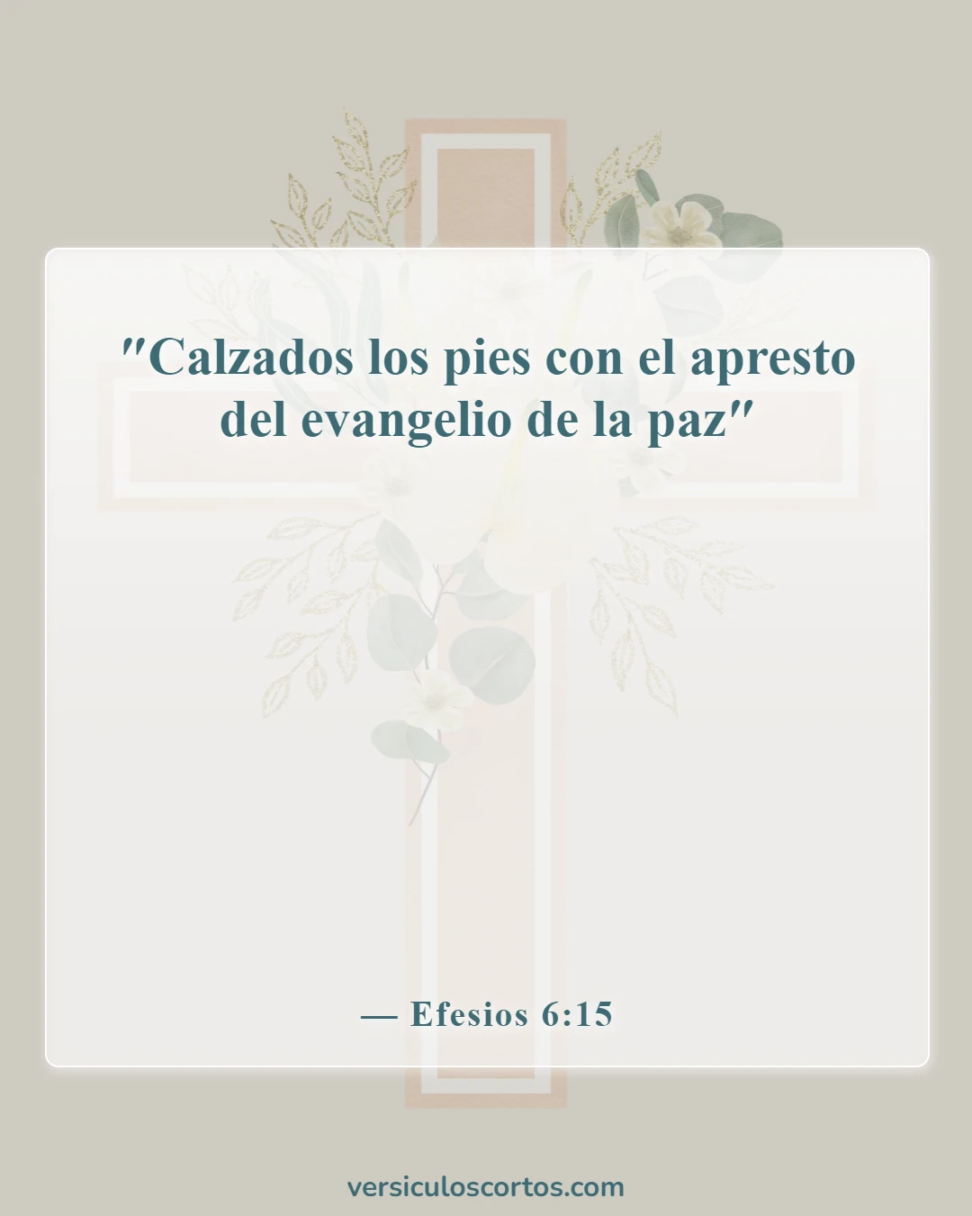 Versículos de la Biblia sobre la paz con Dios (Efesios 6:15)