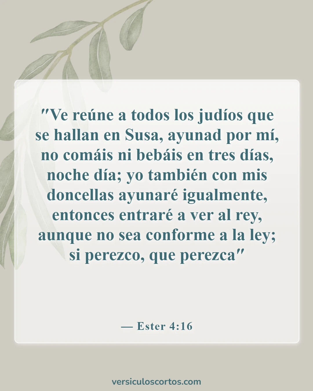 Versículos bíblicos sobre el ayuno para la familia (Ester 4:16)