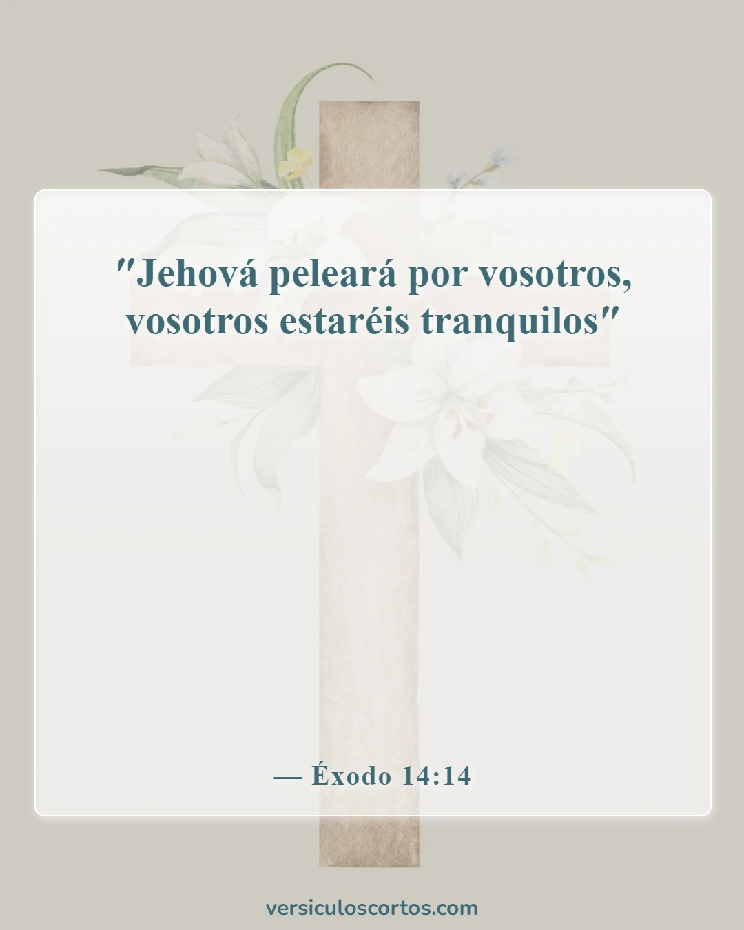Versículos de la Biblia sobre estar solo (Éxodo 14:14)