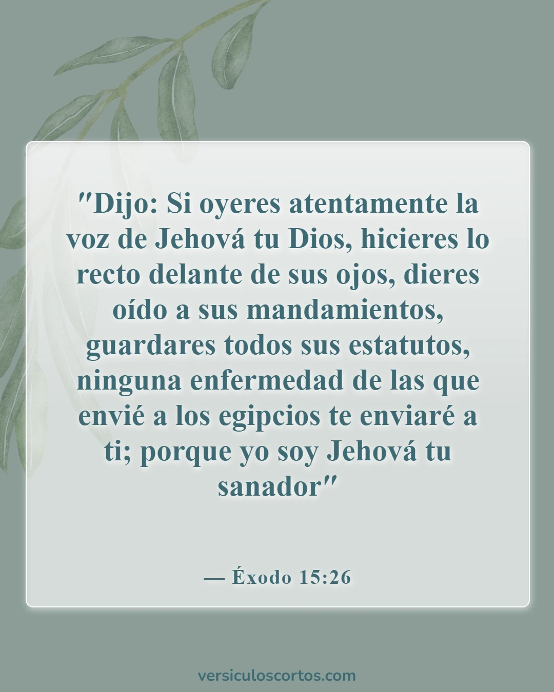 Versículos de la Biblia sobre romper maldiciones (Éxodo 15:26)
