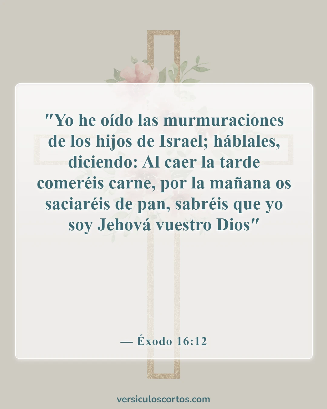 Versículos de la Biblia sobre comer pollo (Éxodo 16:12)
