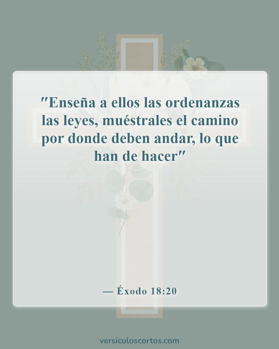 Versículos bíblicos sobre las responsabilidades de los padres (Éxodo 18:20)
