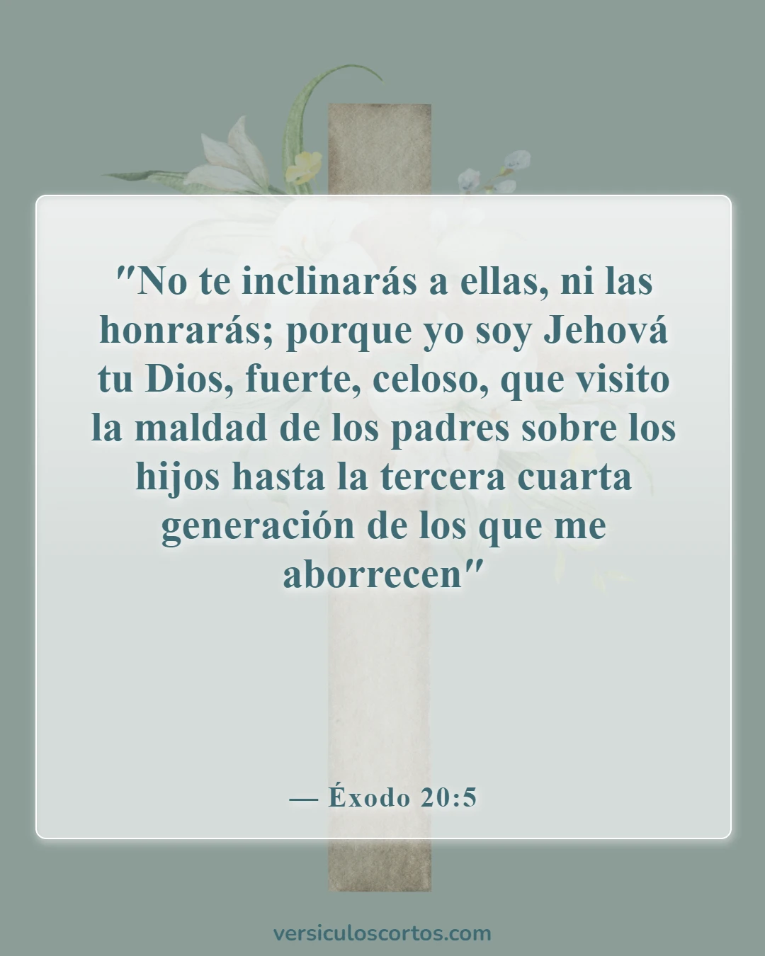 Versículos bíblicos sobre honrar a los padres (Éxodo 20:5)