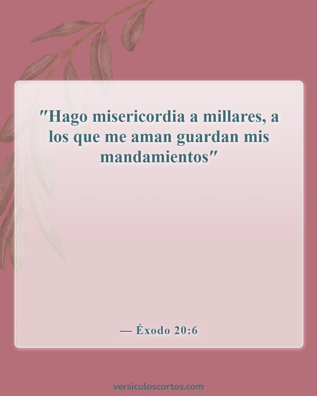 Versículos bíblicos sobre amar al Señor (Éxodo 20:6)