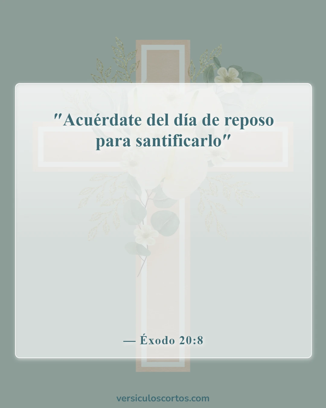 Versículos bíblicos sobre los Diez Mandamientos (Éxodo 20:8)