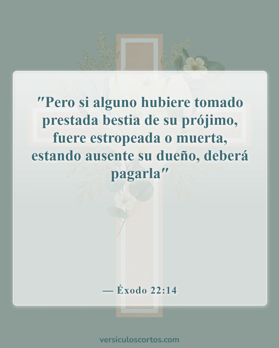 Versículos de la Biblia sobre pedir dinero prestado (Éxodo 22:14)