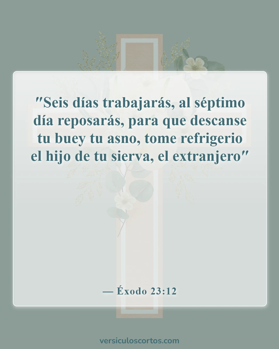 Versículos de la Biblia sobre el trabajo del hombre (Éxodo 23:12)