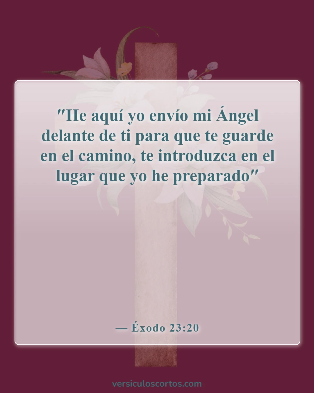 Versículos de la Biblia sobre ángeles y humanos (Éxodo 23:20)