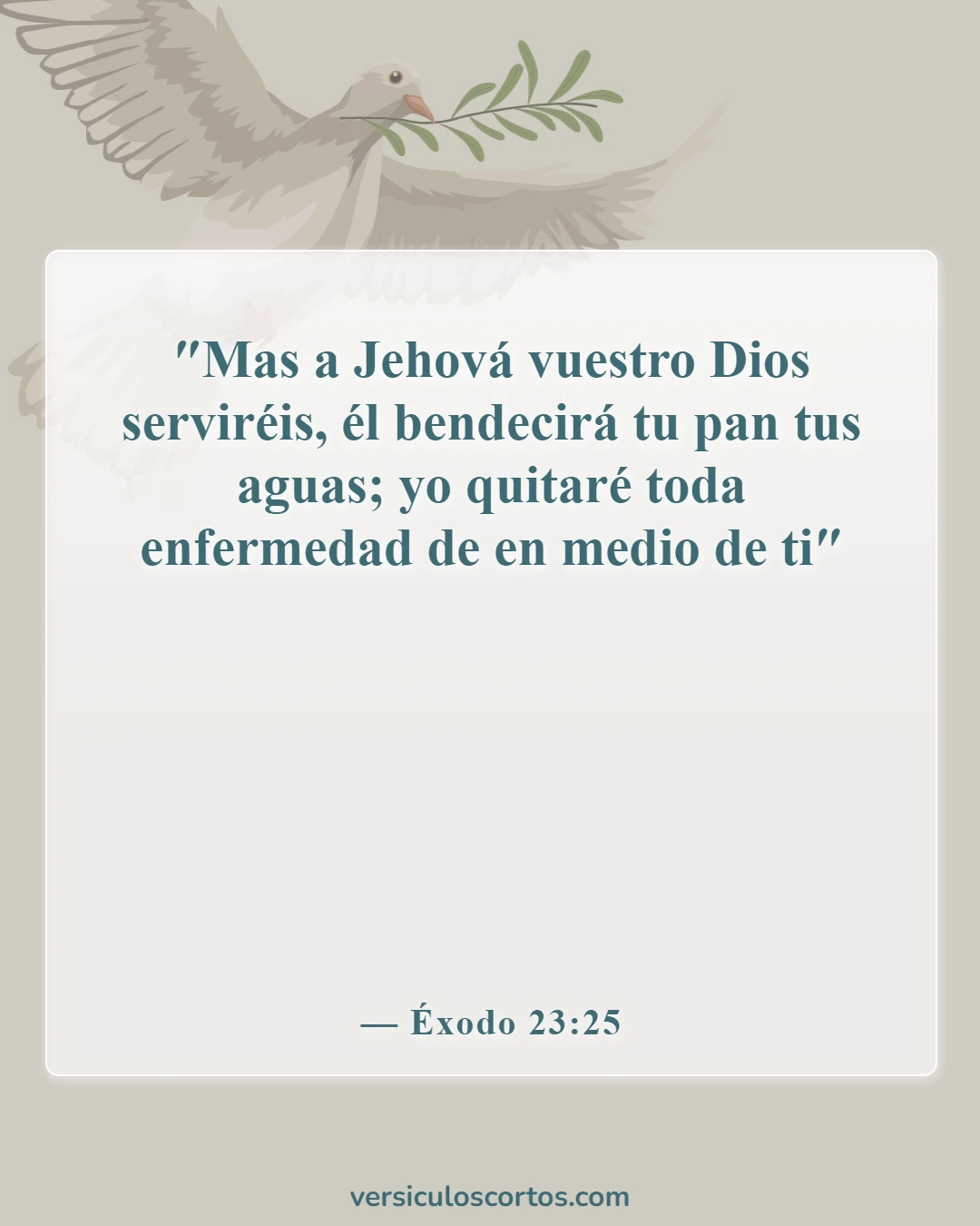 Versículos bíblicos sobre la vida abundante (Éxodo 23:25)