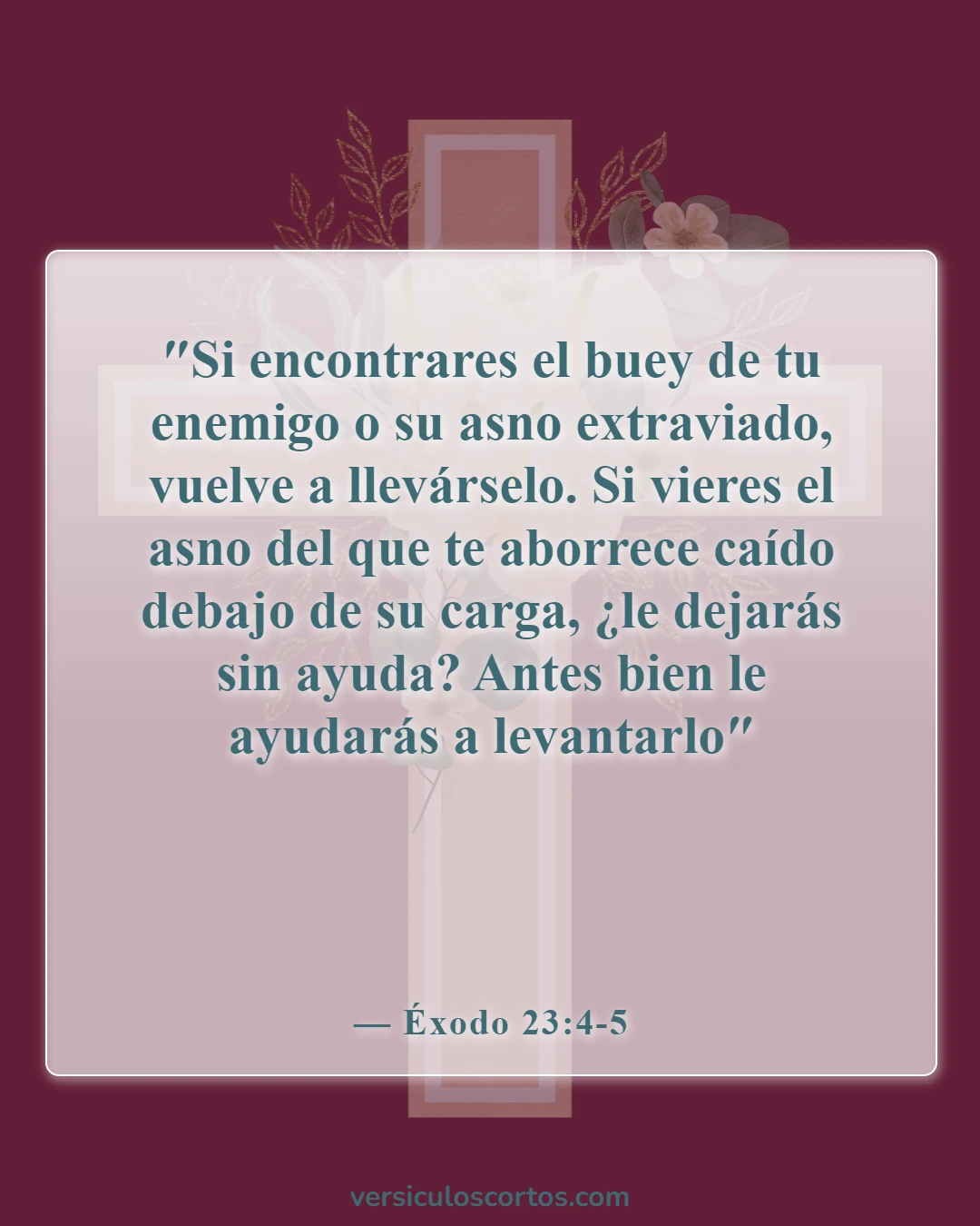 Versículos de la Biblia sobre cómo tratar a tu prójimo (Éxodo 23:4-5)