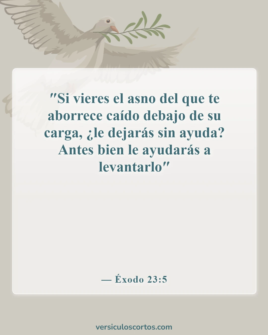 Versículos de la Biblia sobre la responsabilidad (Éxodo 23:5)