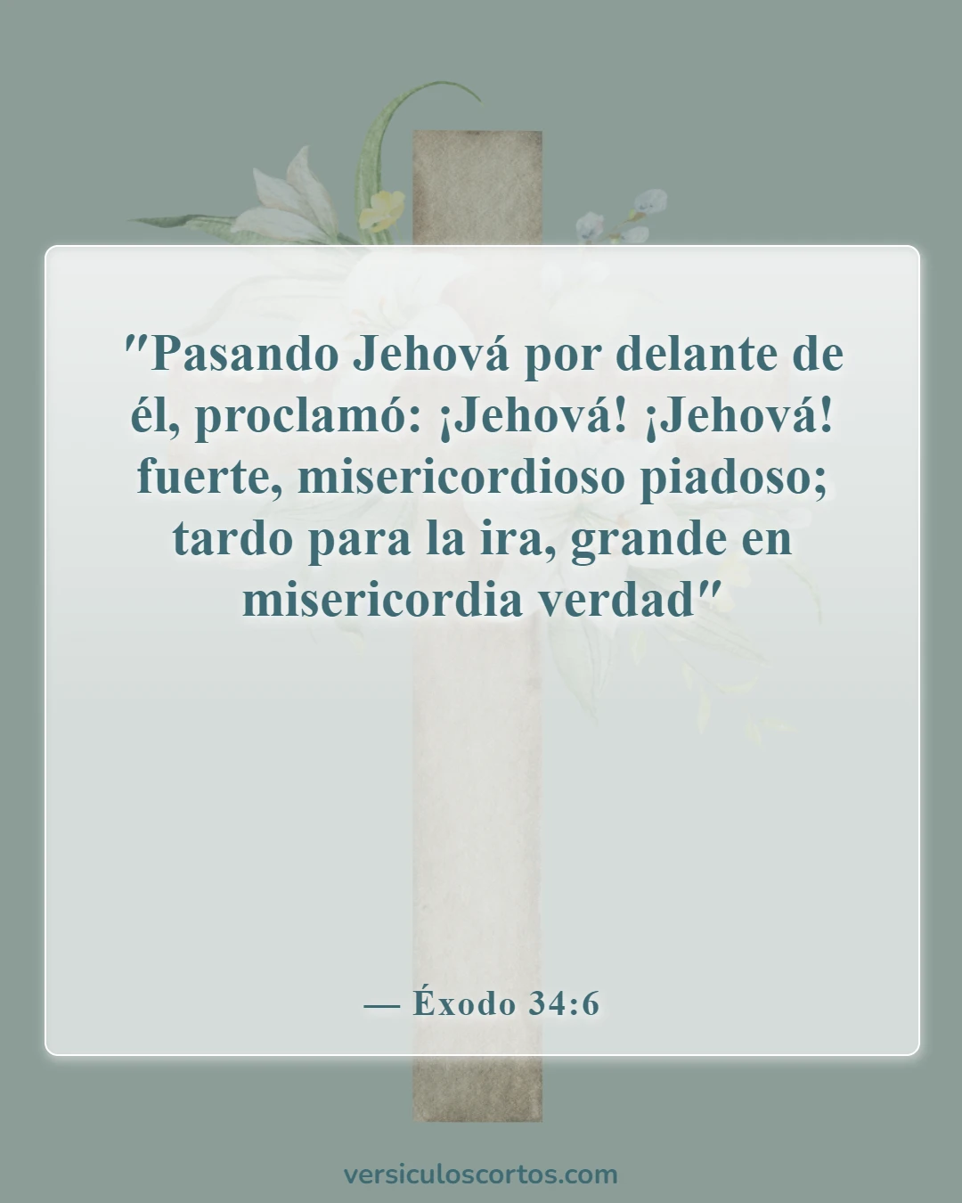 Versículos bíblicos sobre la abundancia (Éxodo 34:6)