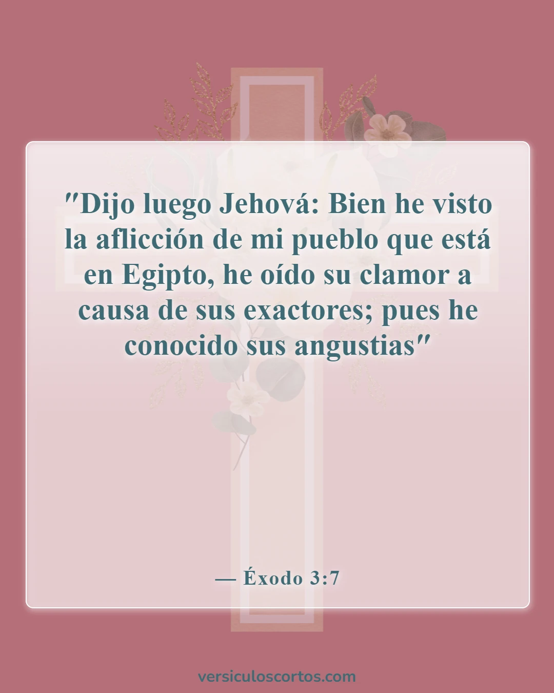Versículos de la Biblia sobre la aflicción (Éxodo 3:7)