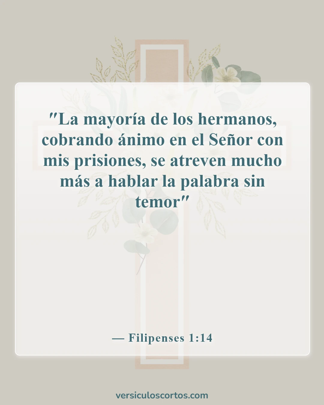 Versículos bíblicos sobre el poder de la palabra (Filipenses 1:14)