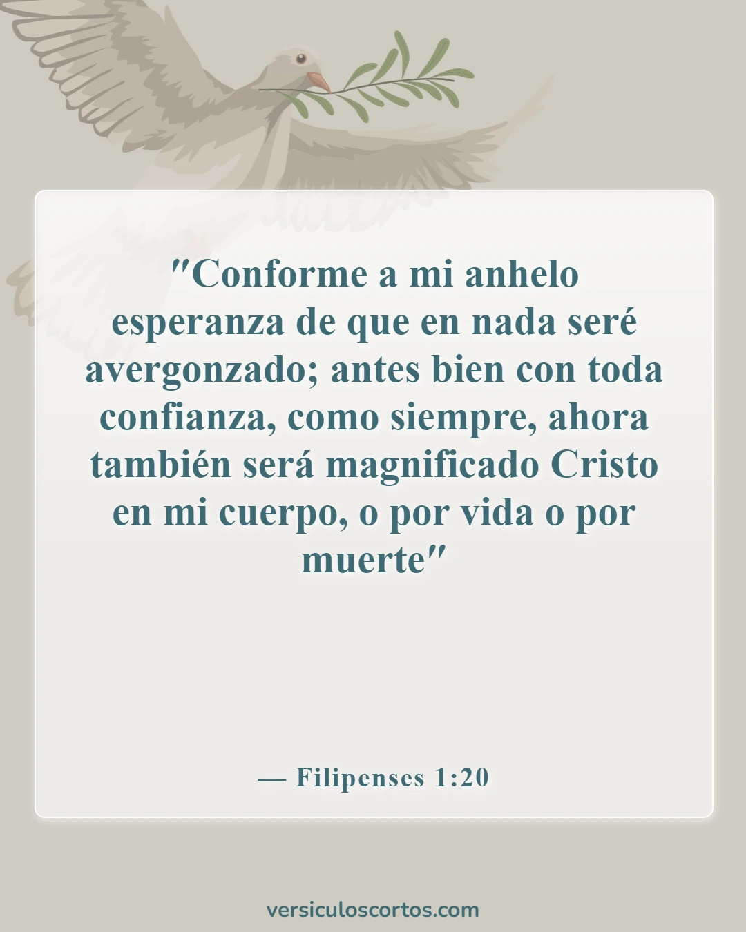 Versículos de la Biblia sobre perforaciones corporales y tatuajes (Filipenses 1:20)