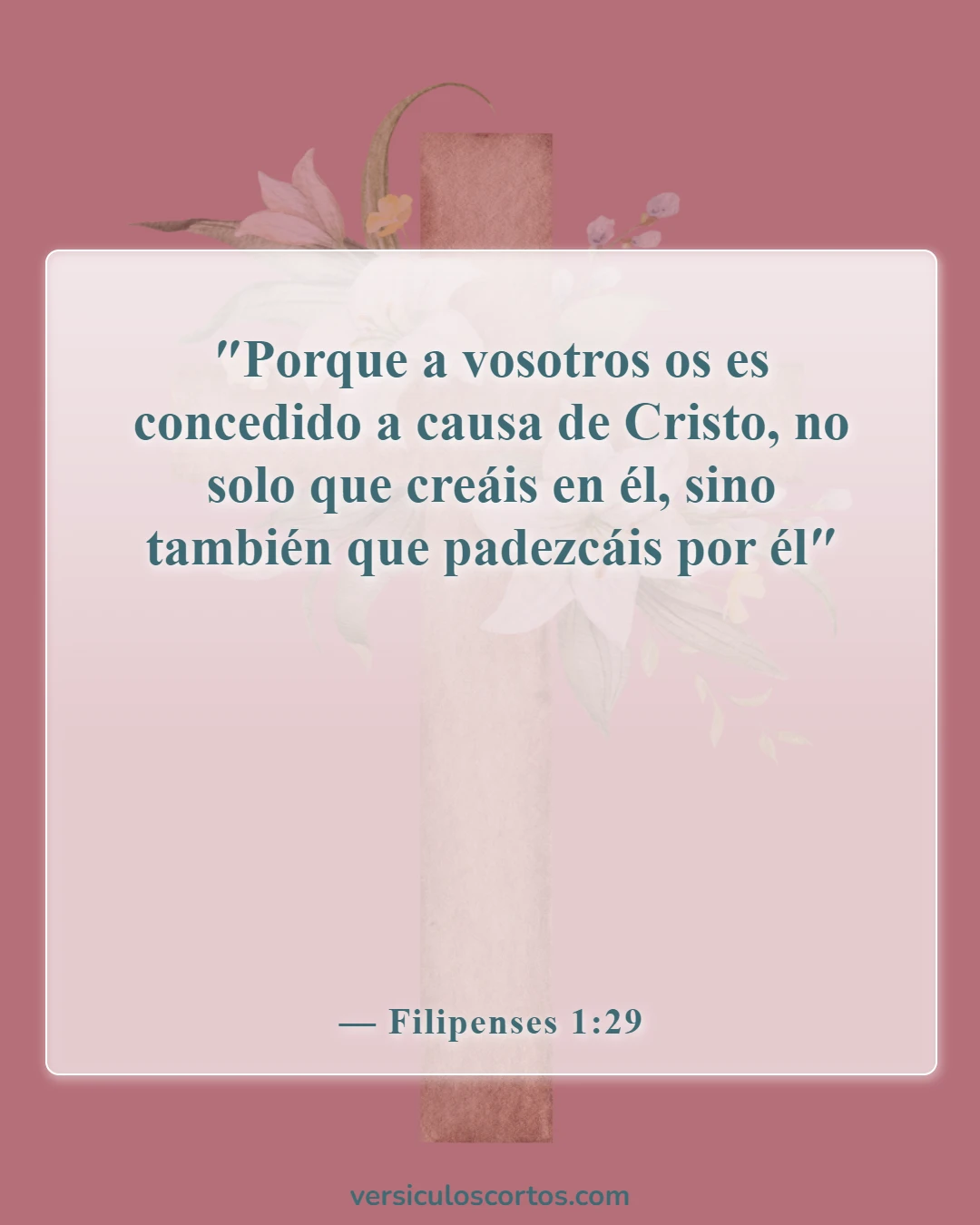 Versículos de la Biblia sobre la aflicción (Filipenses 1:29)