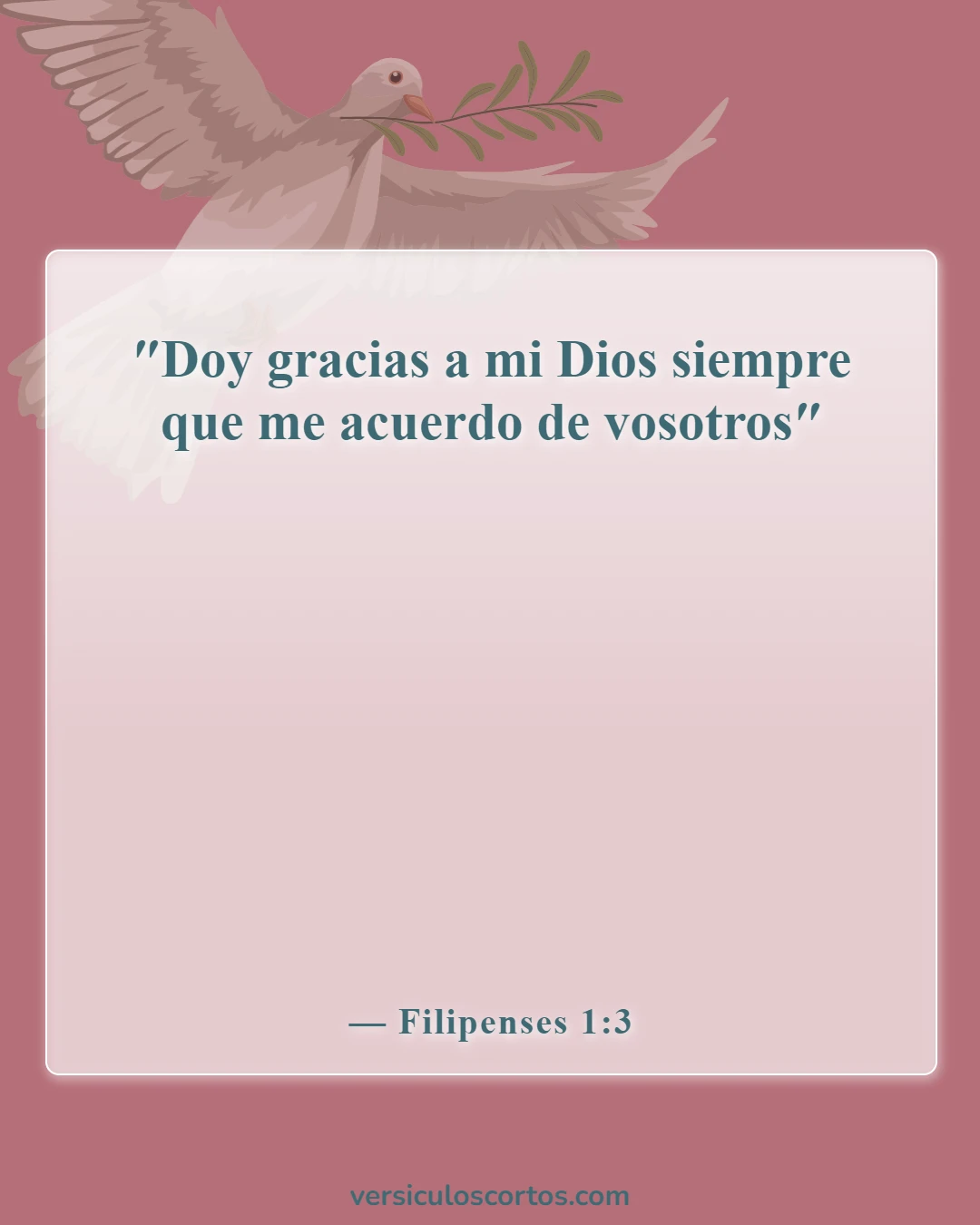 Versículos de la Biblia sobre apreciar a los demás (Filipenses 1:3)