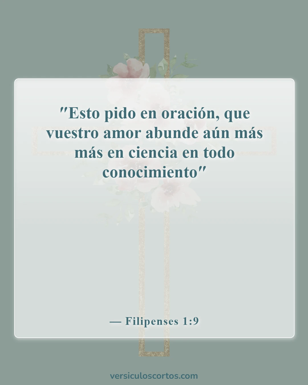 Versículos de la Biblia sobre conocer a Dios (Filipenses 1:9)