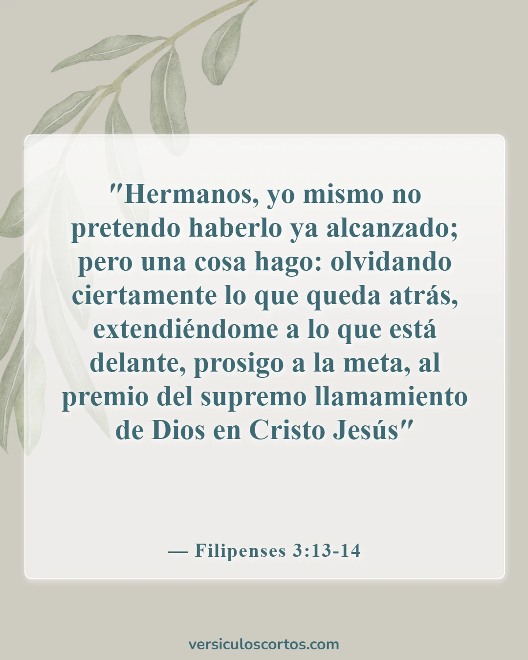 Versículos de la Biblia sobre el verdadero cristiano (Filipenses 3:13-14)