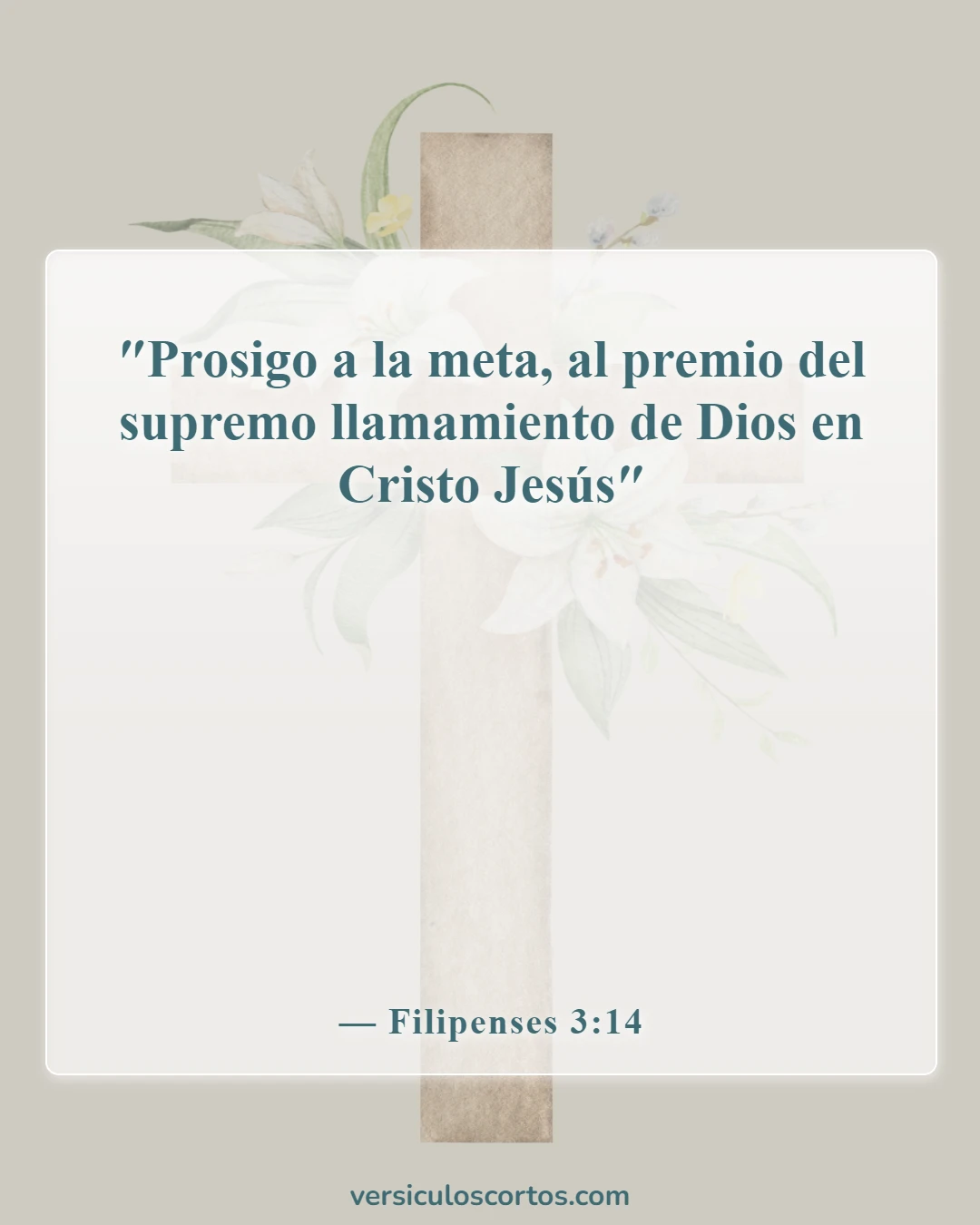 Versículos de la Biblia sobre la Devoción a Dios (Filipenses 3:14)