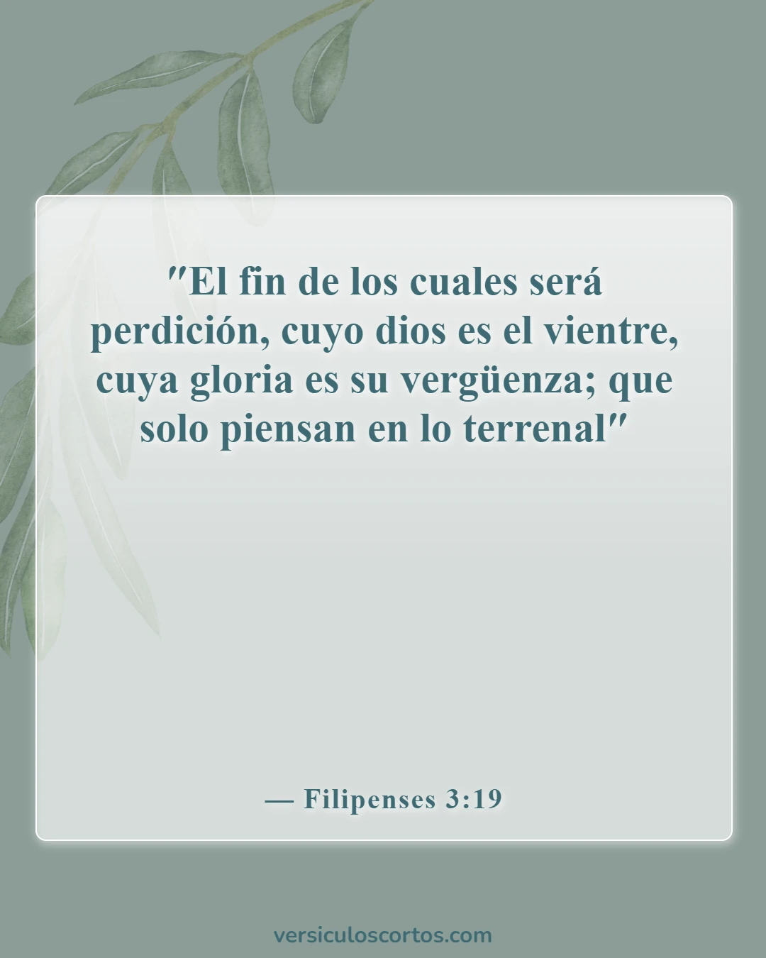 Versículos de la Biblia sobre el consumo de drogas (Filipenses 3:19)