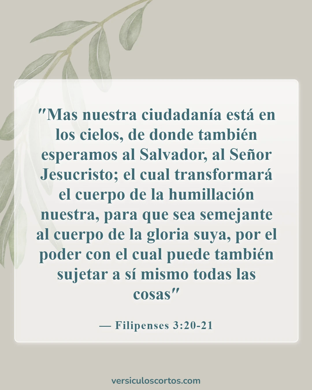 Versículos de la Biblia sobre la vida eterna (Filipenses 3:20-21)