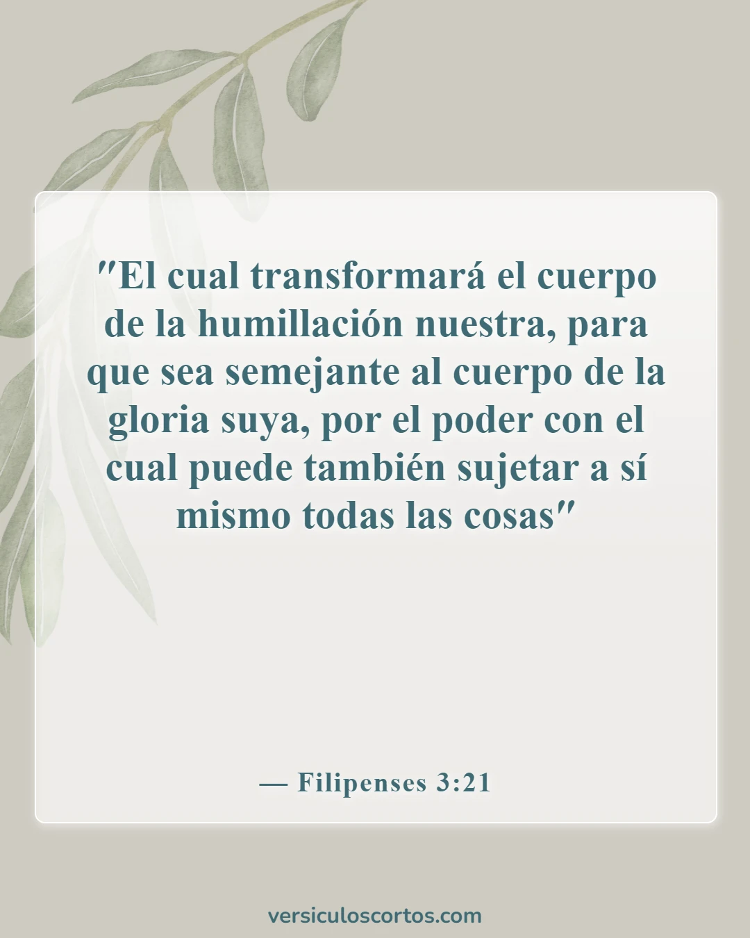 Versículos de la Biblia sobre Jesús como imagen de Dios (Filipenses 3:21)