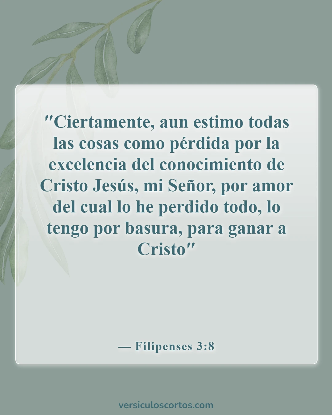 Versículos de la Biblia sobre conocer a Dios (Filipenses 3:8)