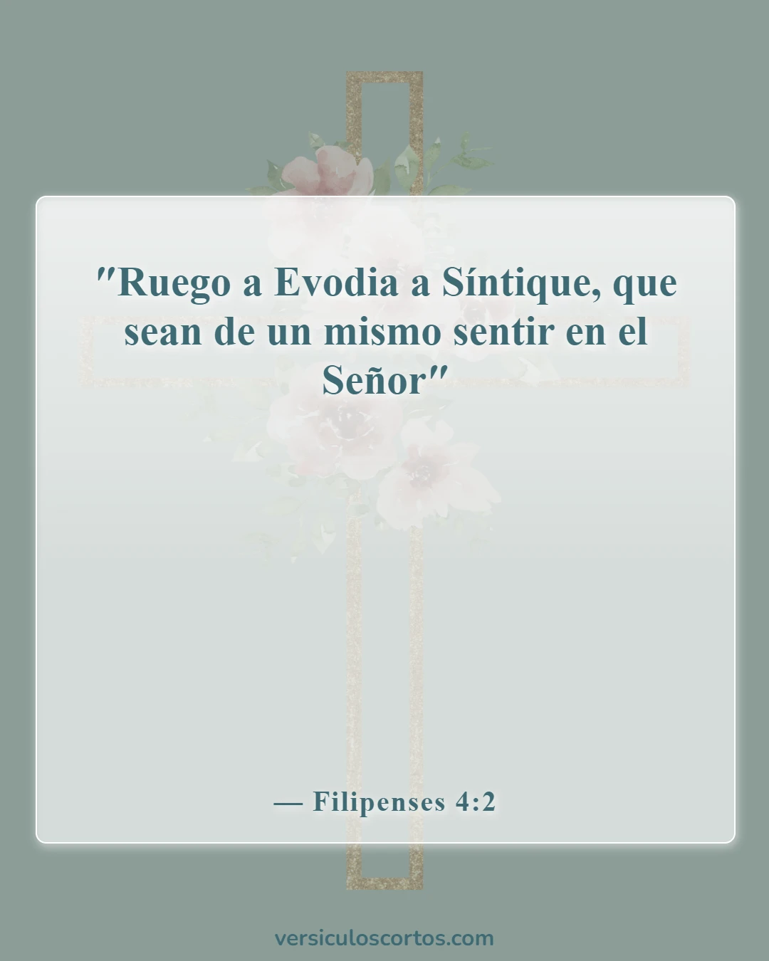 Versículos bíblicos sobre la unidad en la iglesia (Filipenses 4:2)