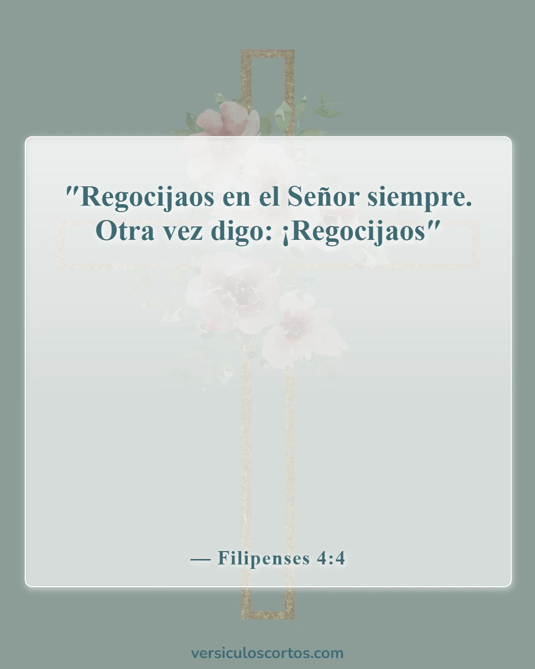 Versículos de la Biblia sobre disfrutar de la vida (Filipenses 4:4)