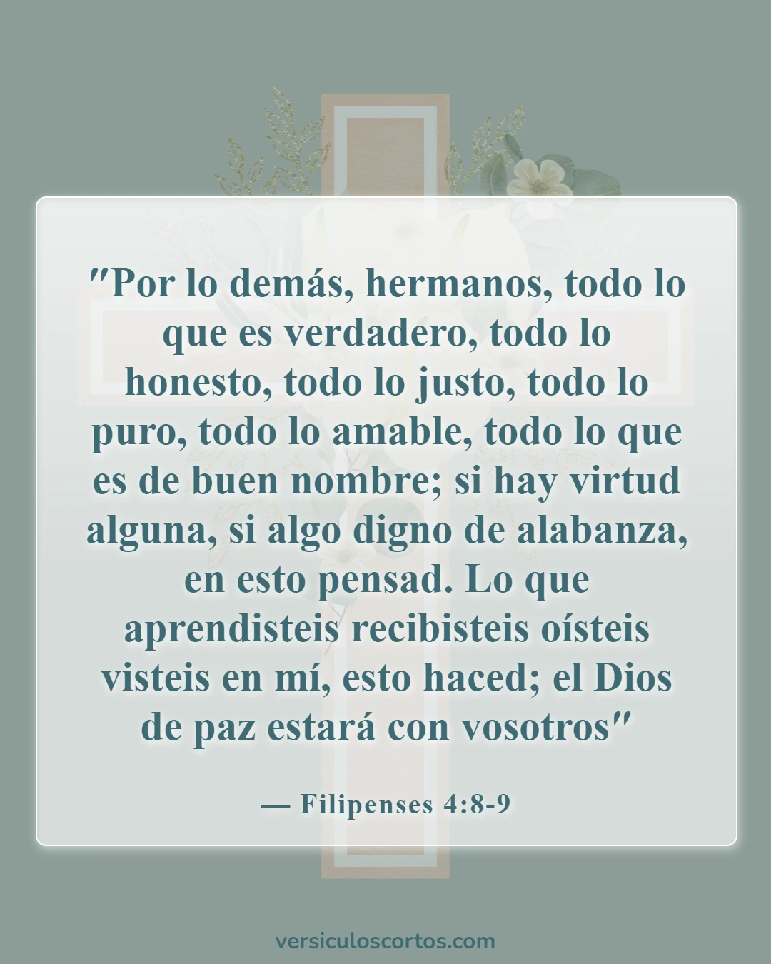 Versículos de la Biblia sobre animarse unos a otros (Filipenses 4:8-9)
