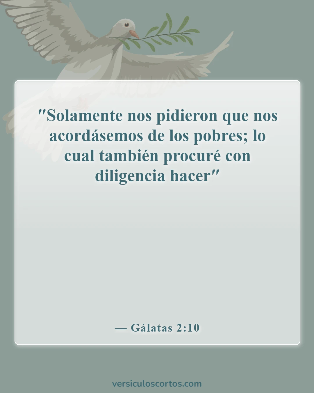 Versículos de la Biblia sobre ayudar a los necesitados (Gálatas 2:10)