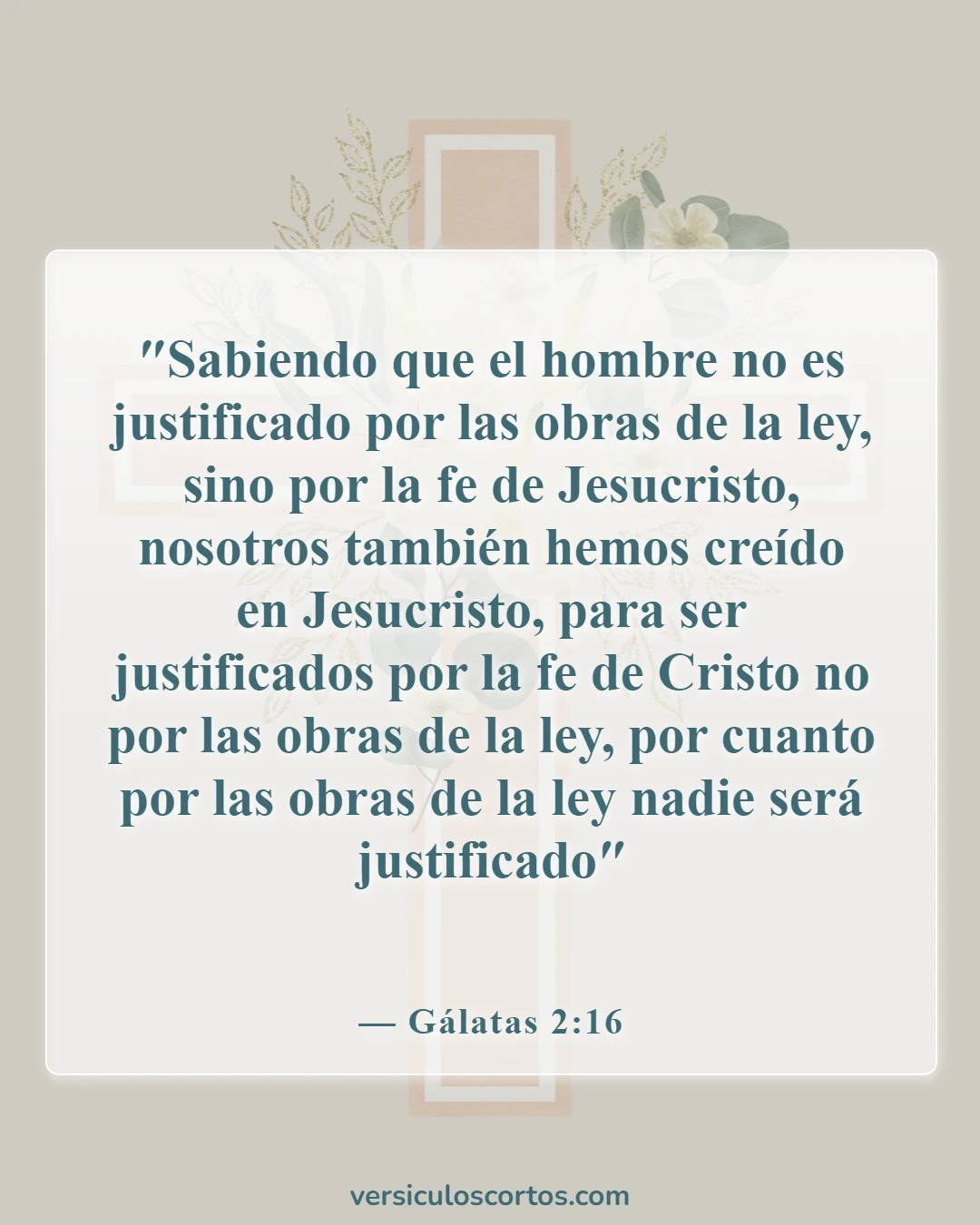 Versículos bíblicos sobre la salvación (Gálatas 2:16)