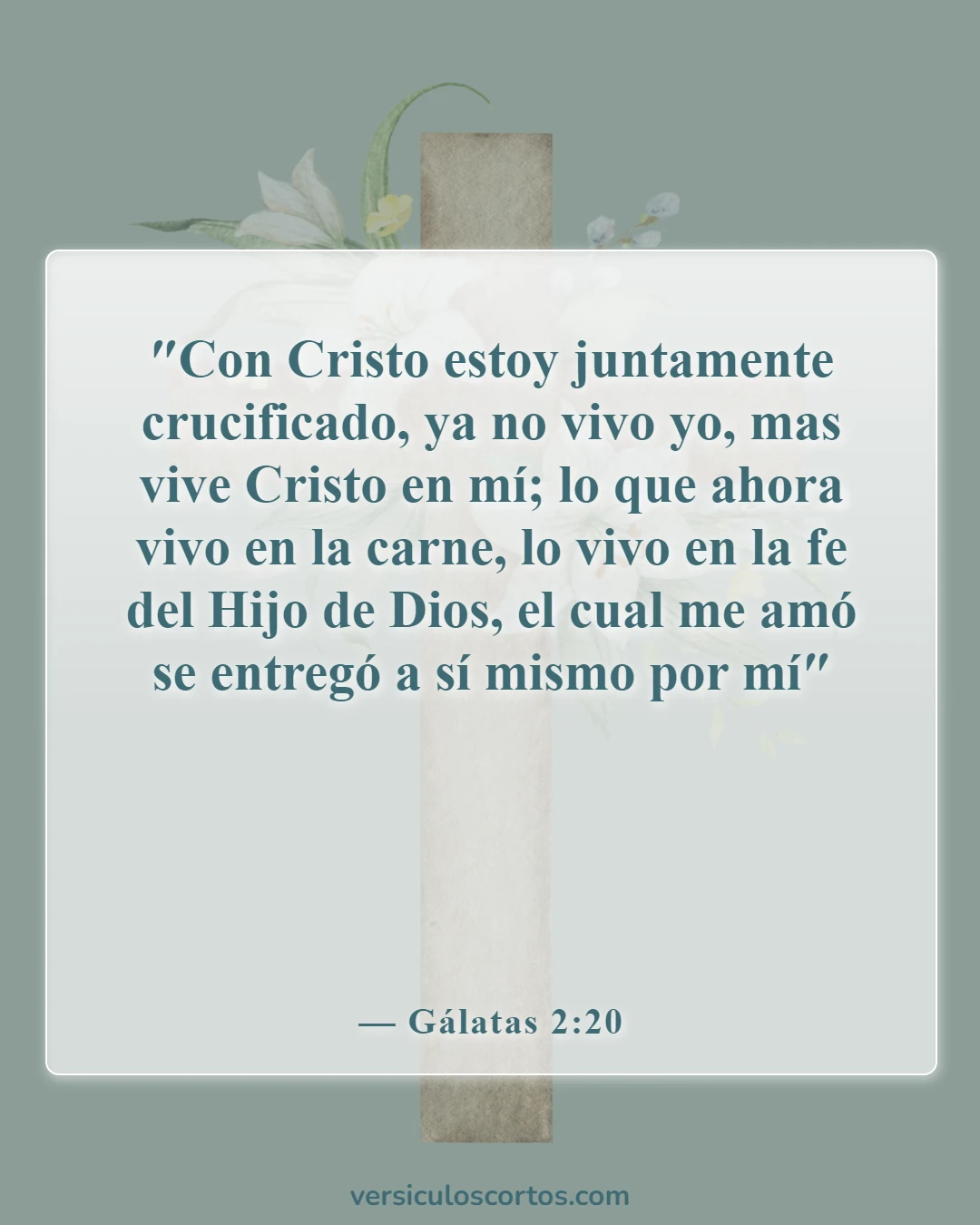 Versículos de la Biblia sobre Jesucristo (Gálatas 2:20)