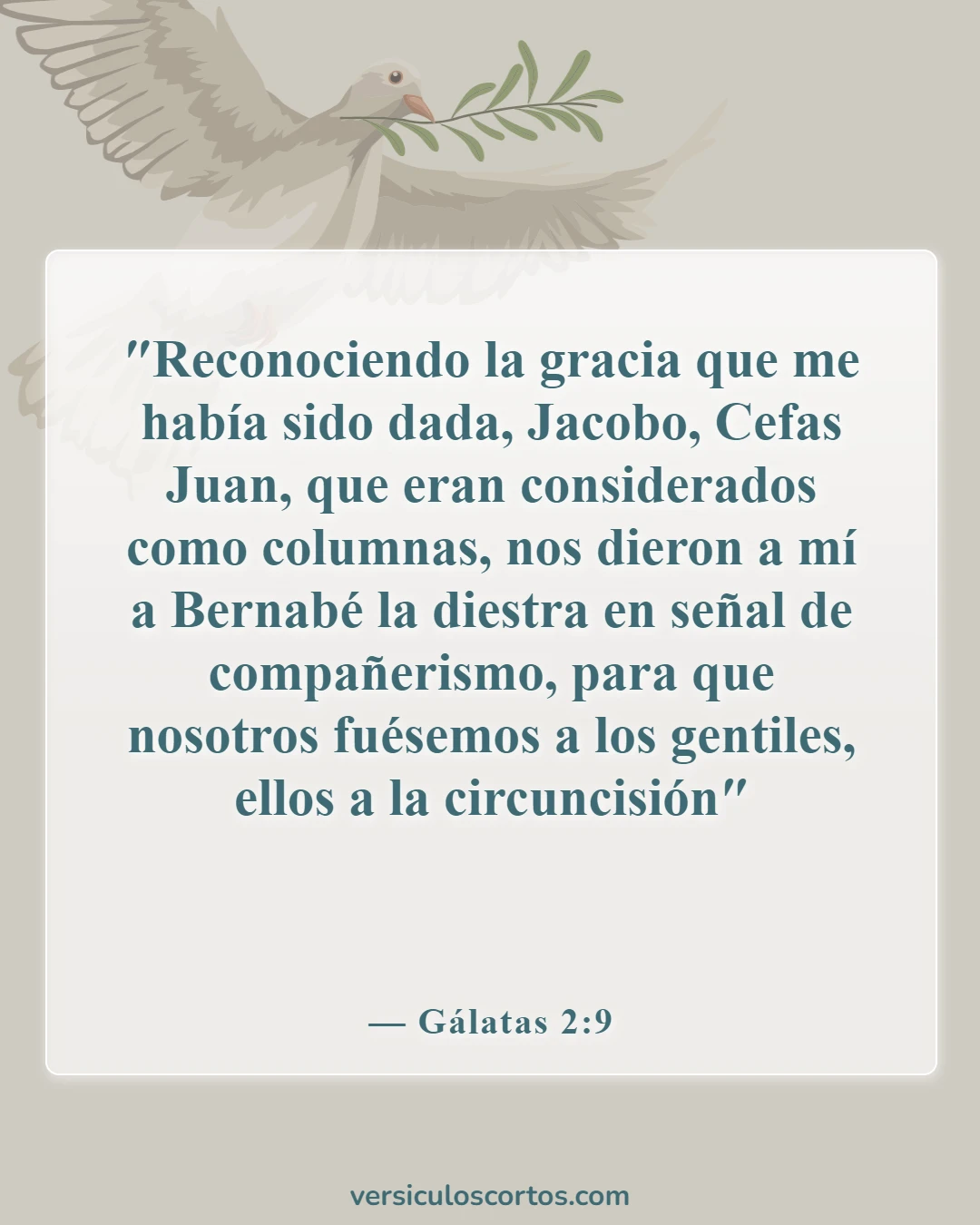 Versículos de la Biblia sobre la gracia del Señor Jesucristo (Gálatas 2:9)