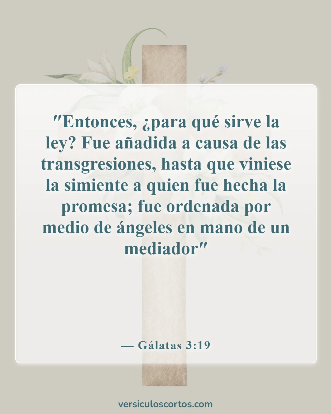 Versículos bíblicos sobre el propósito de la ley (Gálatas 3:19)
