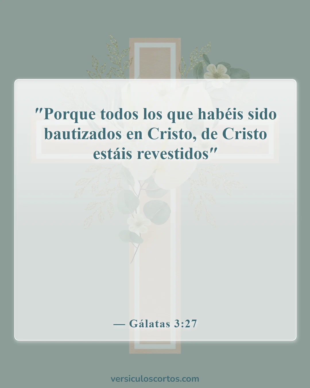 Versículos bíblicos sobre el nuevo nacimiento (Gálatas 3:27)