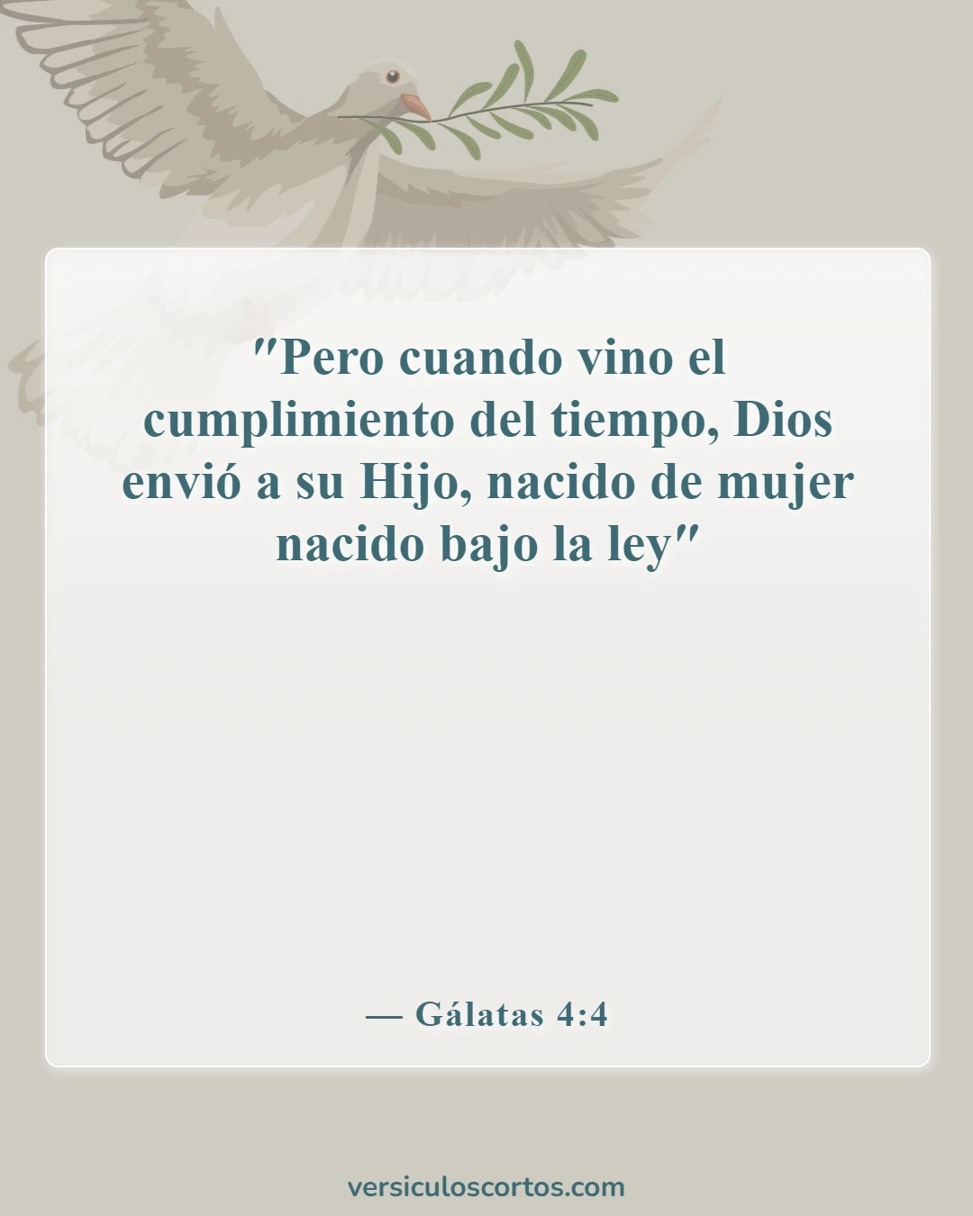 Versículos de la Biblia sobre Jesús como imagen de Dios (Gálatas 4:4)