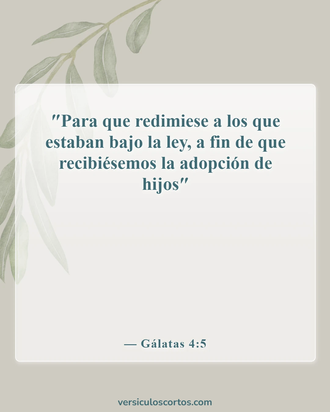 Versículos bíblicos sobre la justificación por la fe (Gálatas 4:5)