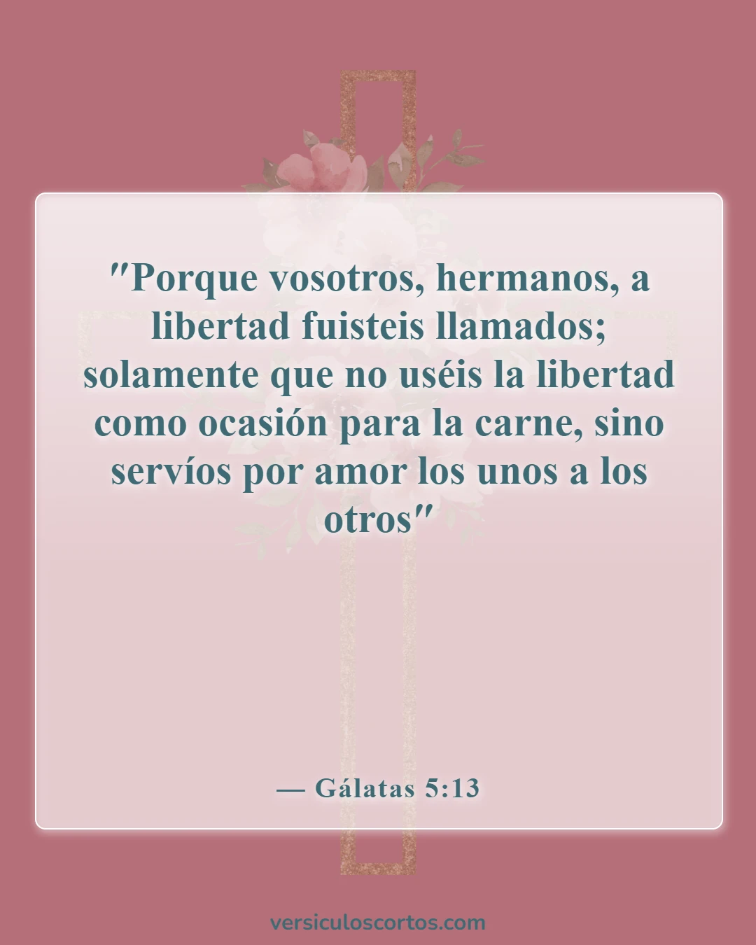 Versículos de la Biblia sobre salir con un no creyente (Gálatas 5:13)