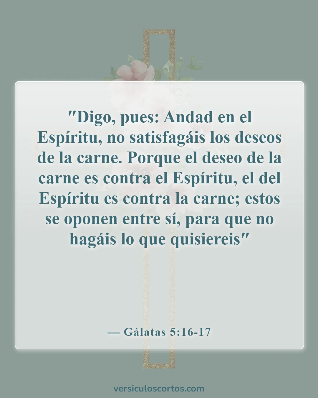 Versículos bíblicos sobre cómo superar la avaricia (Gálatas 5:16-17)