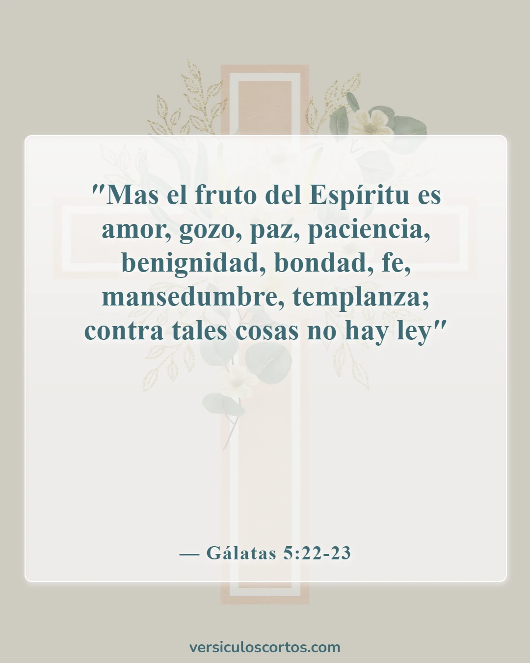 Versículos de la Biblia sobre el verdadero cristiano (Gálatas 5:22-23)