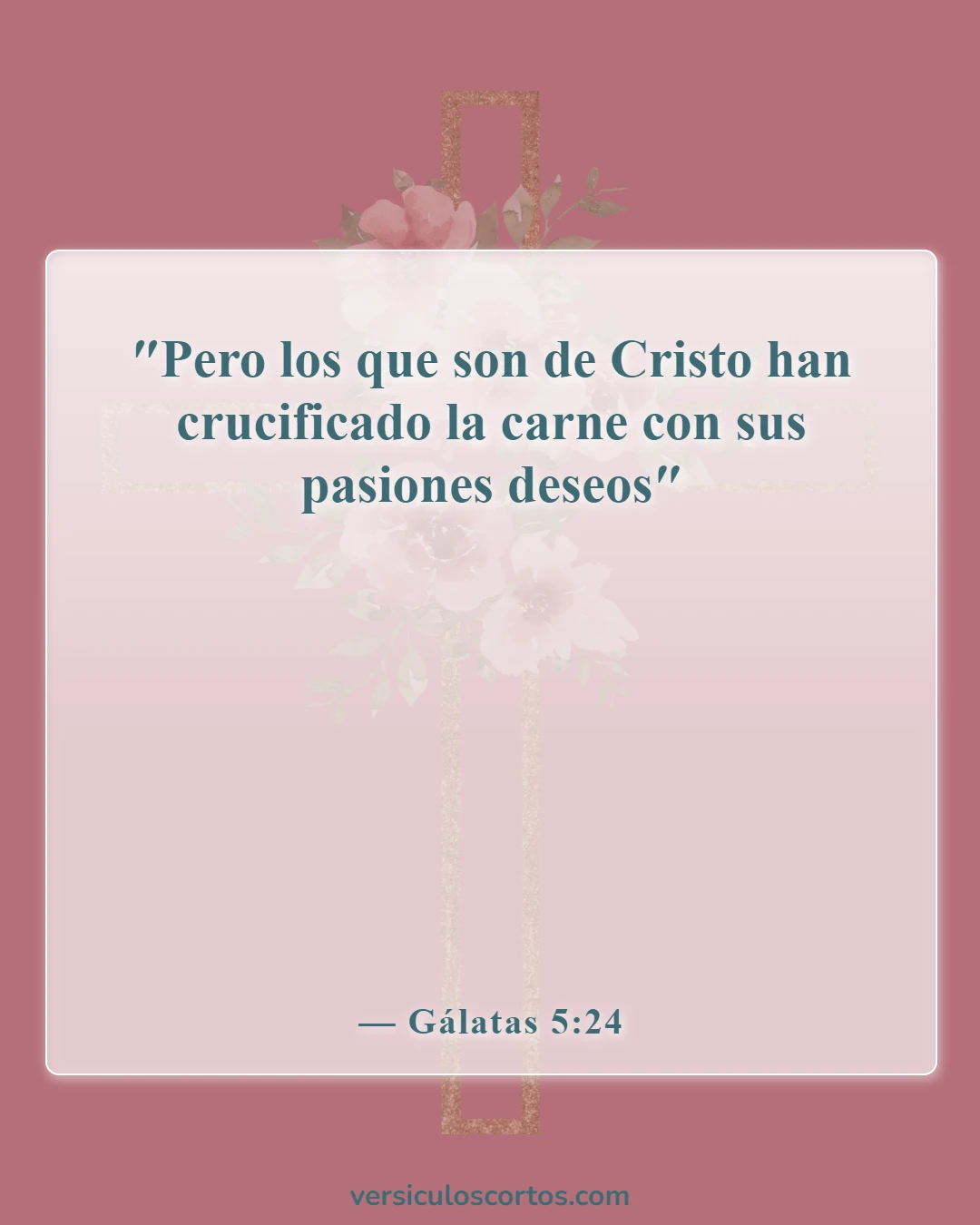 Versículos de la Biblia sobre salir con un no creyente (Gálatas 5:24)