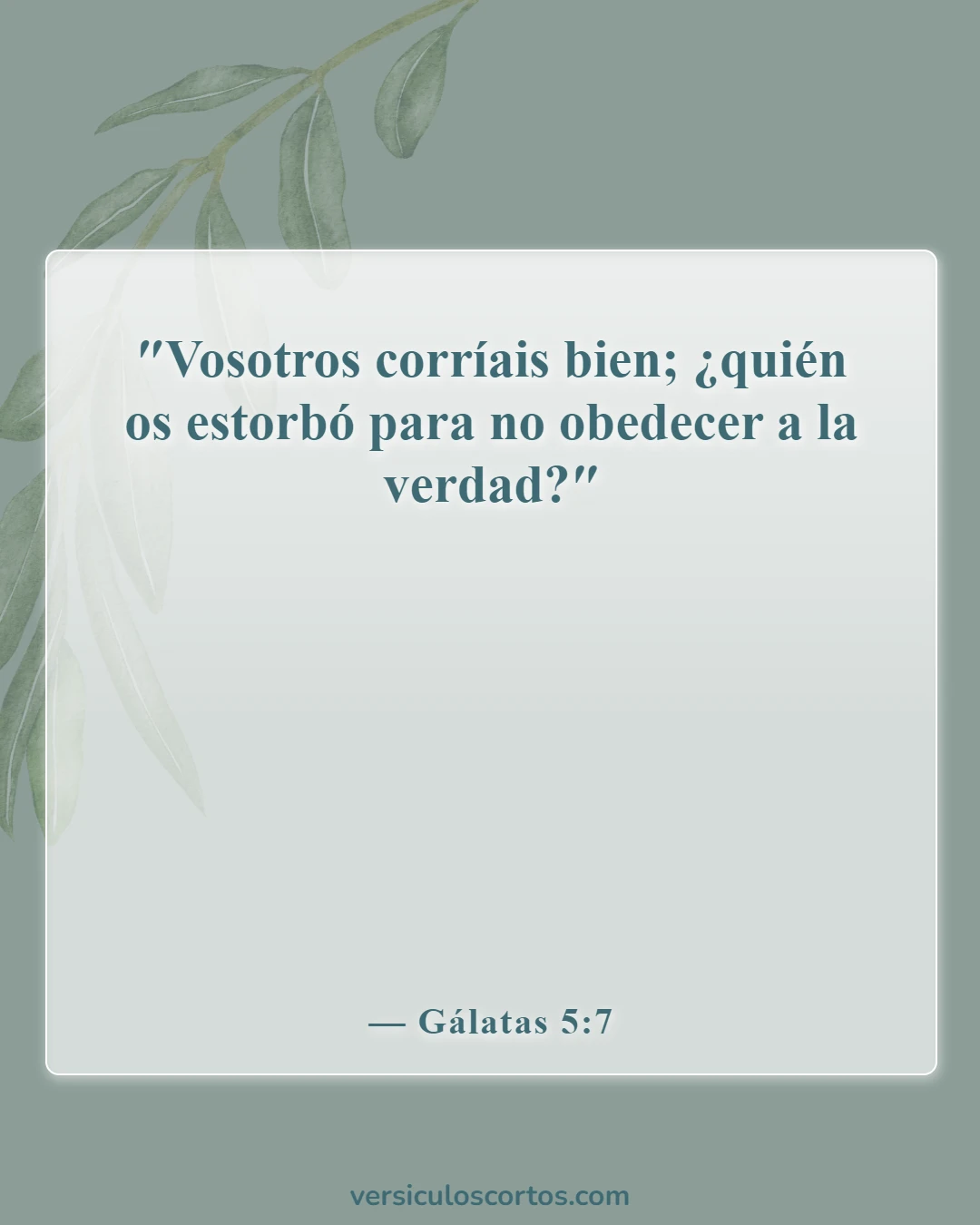 Versículos bíblicos sobre la obediencia a Dios (Gálatas 5:7)