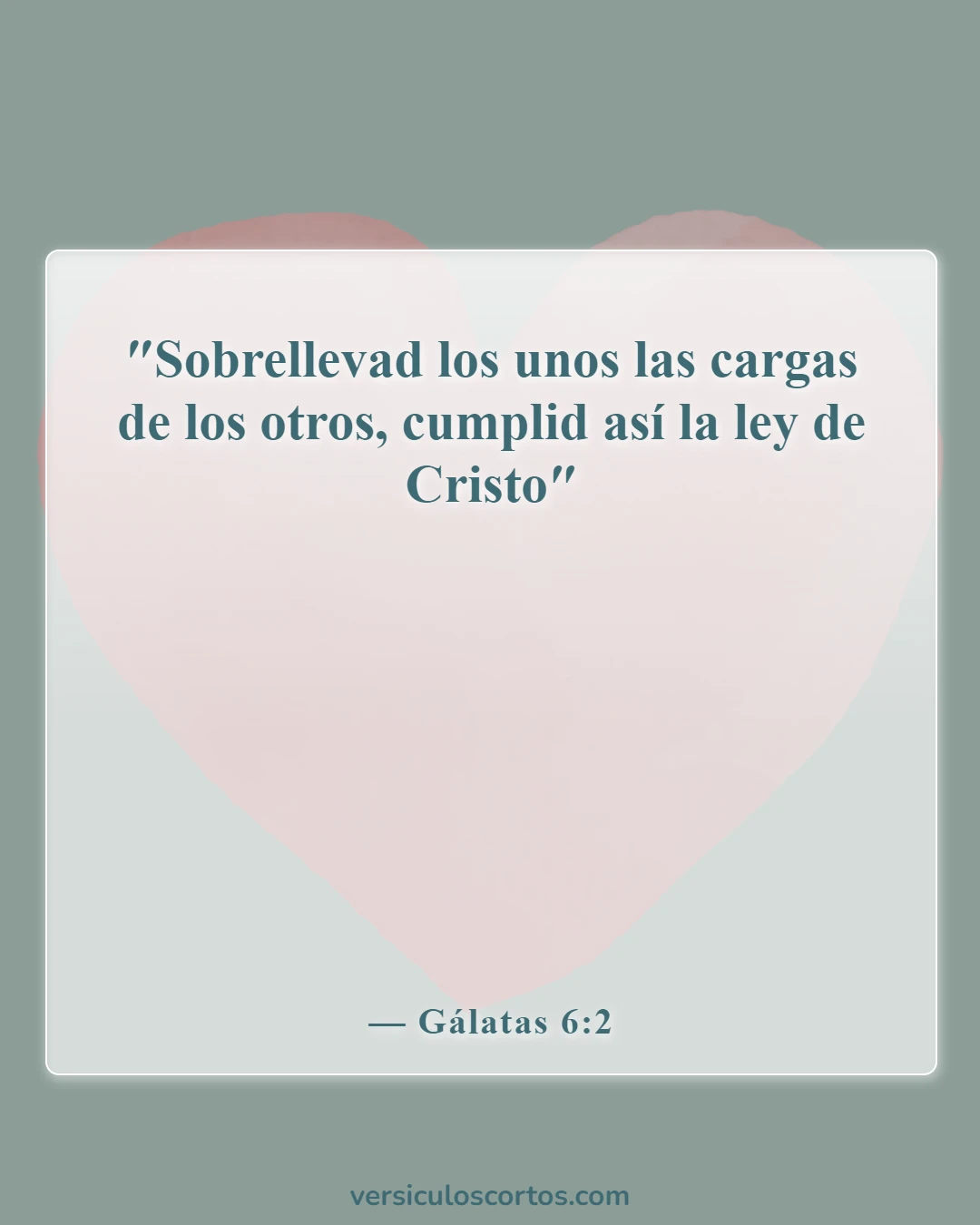 Versículos de la Biblia sobre la compasión hacia los demás (Gálatas 6:2)