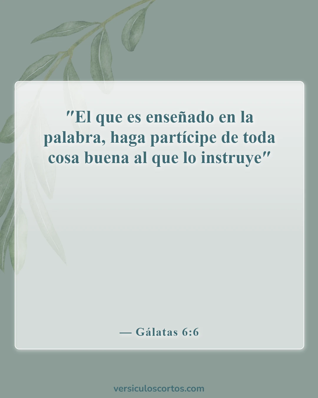 Versículos bíblicos sobre el poder de la palabra (Gálatas 6:6)