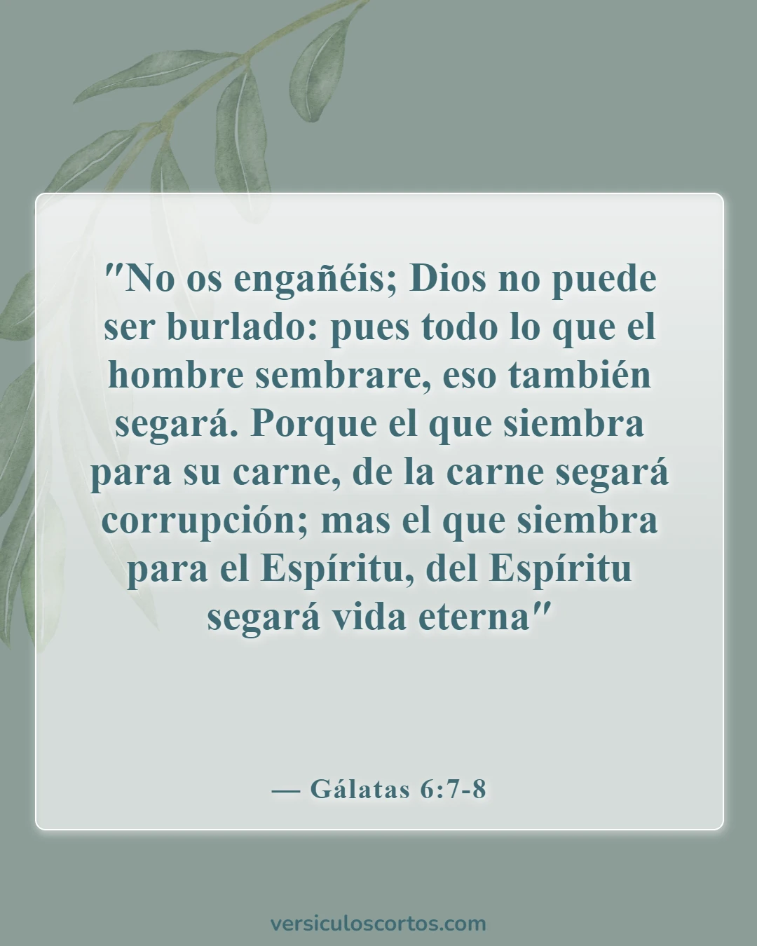 Versículos de la Biblia sobre tomar la decisión correcta (Gálatas 6:7-8)
