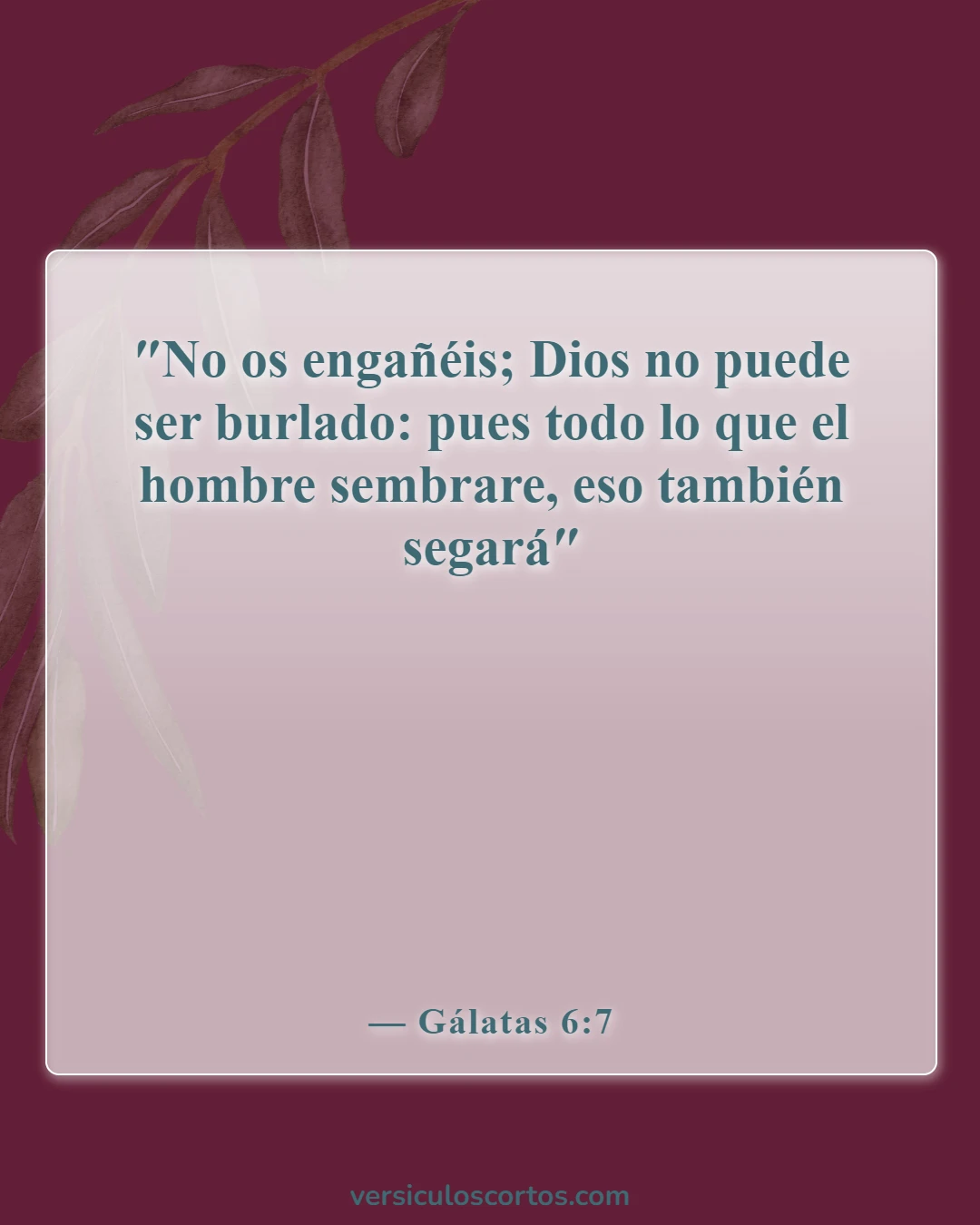 Versículos de la Biblia sobre poner excusas (Gálatas 6:7)
